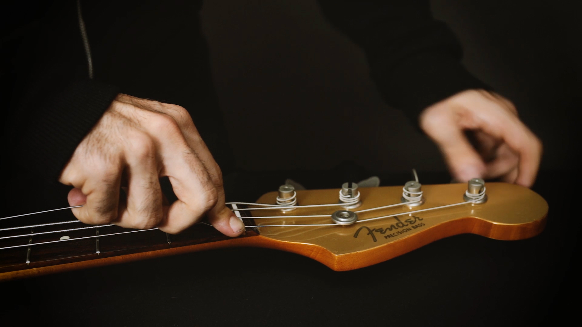 Las cuerdas Anatomía del bajo