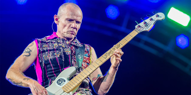 Flea